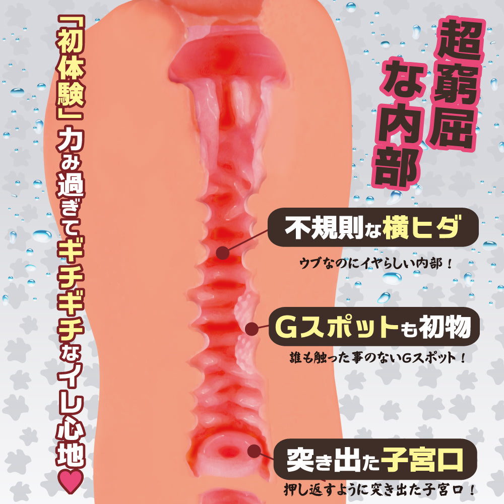 对子哈特Toysheart纯洁的蜜壶