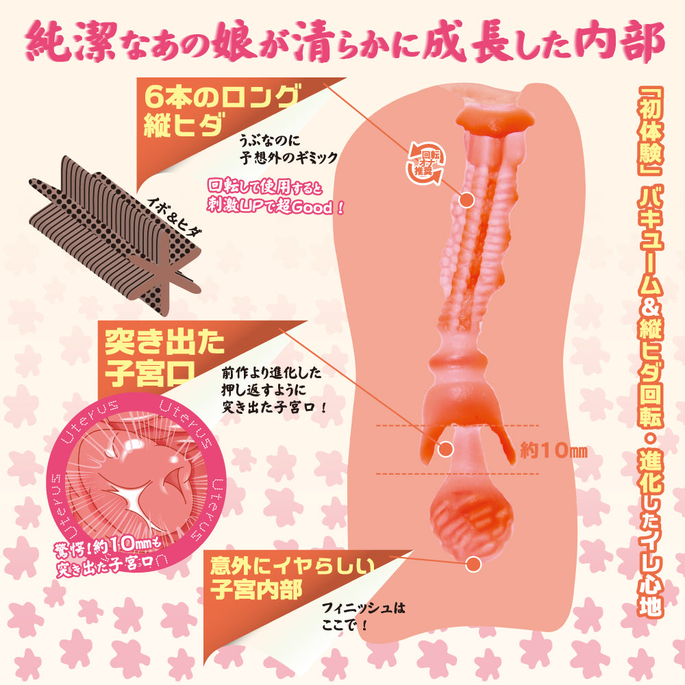 对子哈特Toysheart纯洁的蜜壶