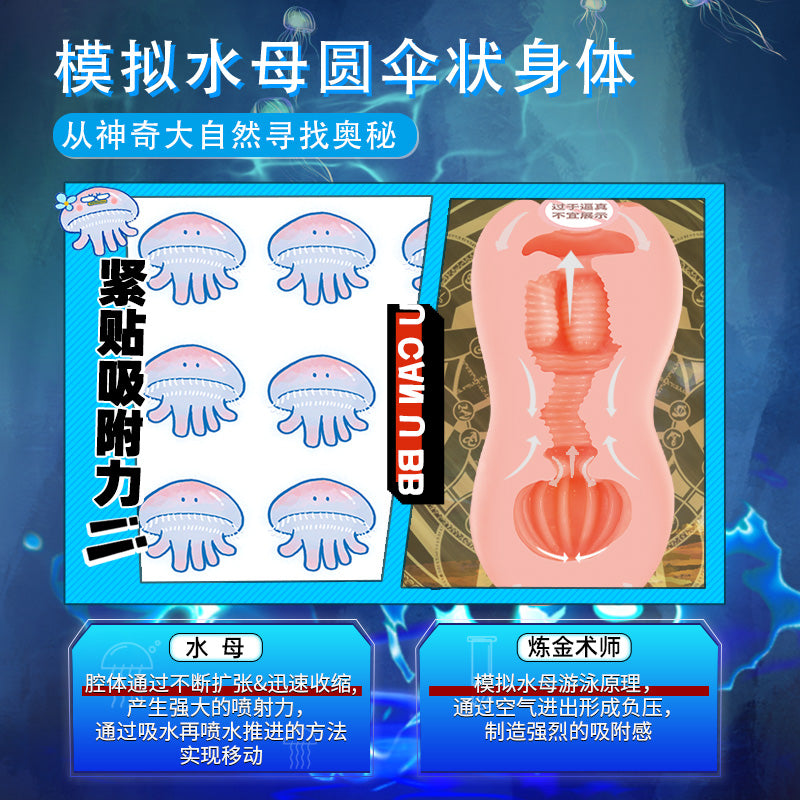 对子哈特Toysheart炼金术师飞机杯