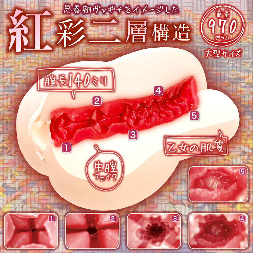 日本NOTOWA 思春期·庇护所 红彩二层真实粘膜飞机杯.