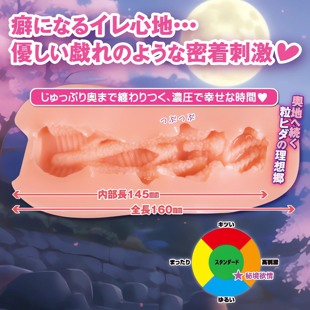 对子哈特Toysheart秘境欲情飞机杯