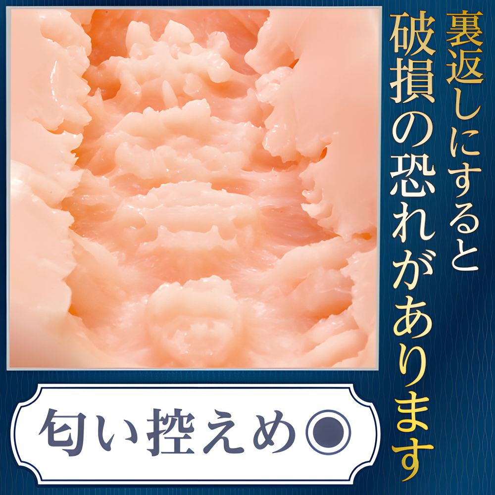 日本TAMATOYS AIV No.9号飞机杯.