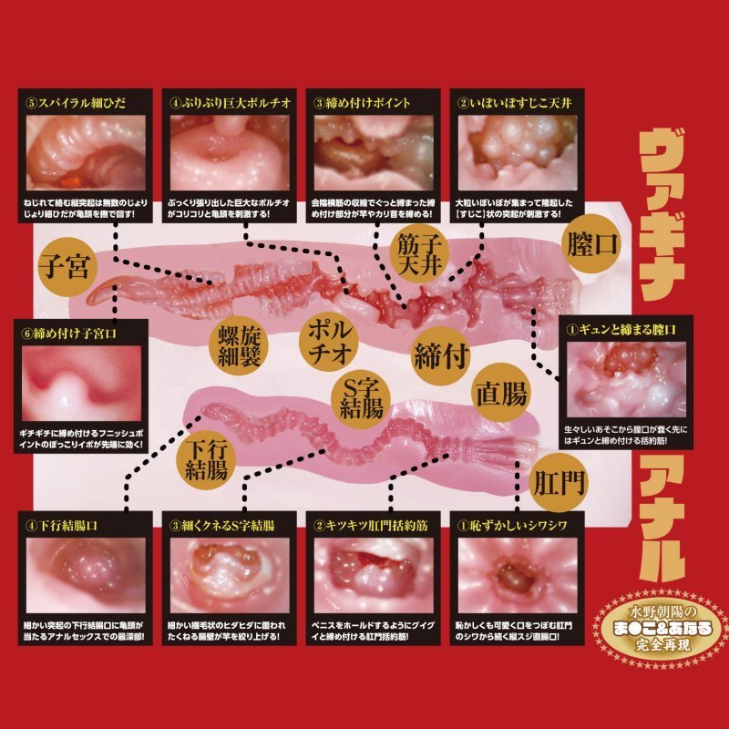 日本NPG极上生腰三代飞机杯 - 水野朝阳-9Rabbit北美情趣用品