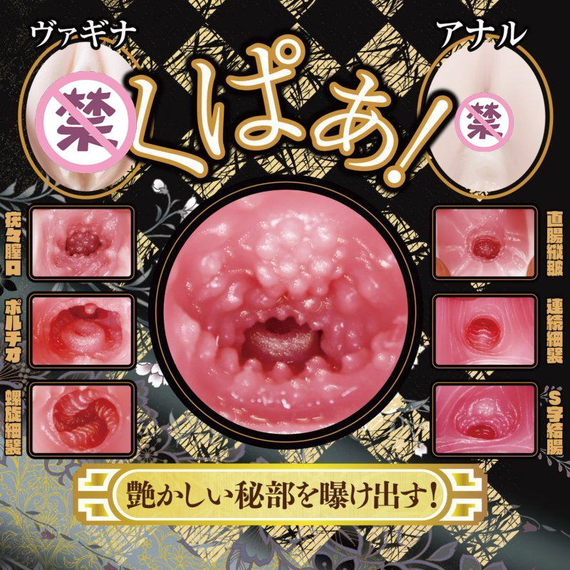 日本NPG极上生腰三代飞机杯 - 水野朝阳.